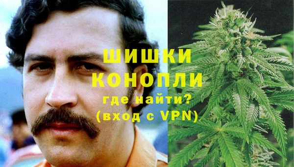 PSILOCYBIN Покровск