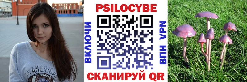 Псилоцибиновые грибы Psilocybine cubensis  Тольятти 