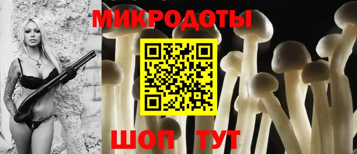 Галлюциногенные грибы Cubensis Тольятти