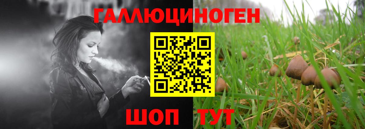 Галлюциногенные грибы Magic Shrooms  где найти наркотики  Тольятти  Вход с VPN 